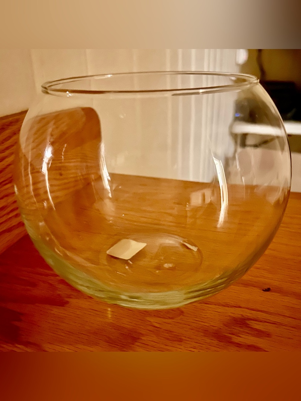 Large Clear Glass Vase / Fish Bowl 5 1/2” opening, 6” height, 7 3/4” round